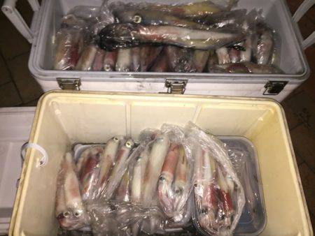 幸風（さちかぜ） 釣果