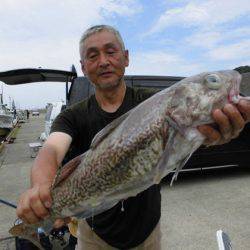 大進丸(新潟) 釣果