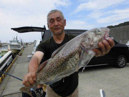 大進丸（新潟） 釣果