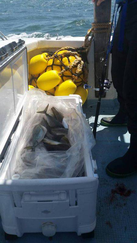 第五慶門丸 釣果