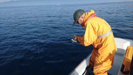 遊漁船ブルーウッズ 釣果