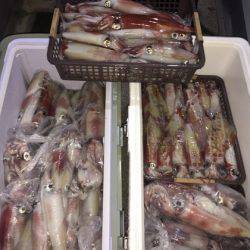 幸風（さちかぜ） 釣果