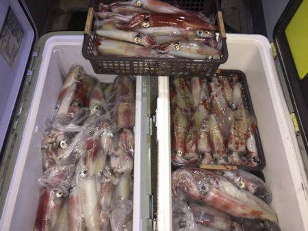 幸風（さちかぜ） 釣果