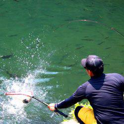 小菅トラウトガーデン 釣果