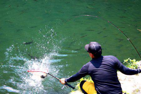 小菅トラウトガーデン 釣果