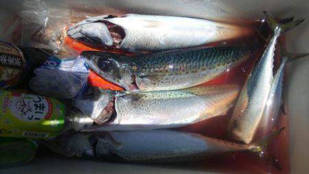 遊漁船 新鋭丸 釣果