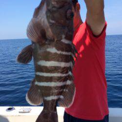 Blue.win 海人丸 釣果