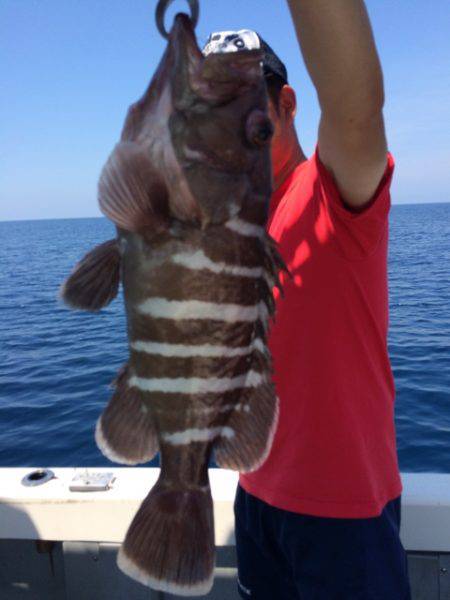 Blue.win 海人丸 釣果