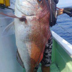 遊漁船 新鋭丸 釣果