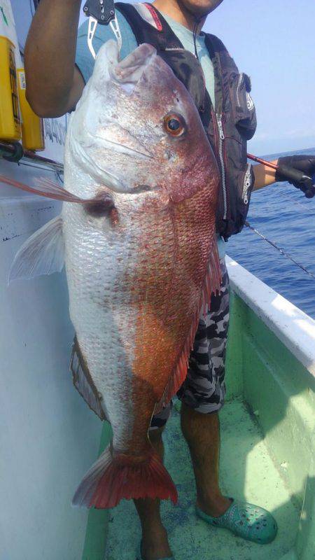 遊漁船 新鋭丸 釣果