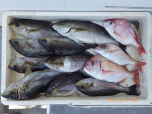石川丸 釣果