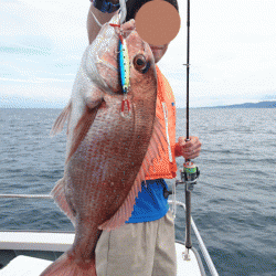 遊漁船ブルーウッズ 釣果