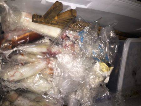 幸風（さちかぜ） 釣果