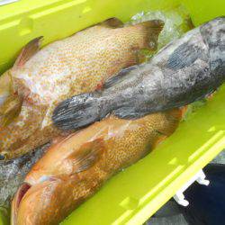 こうゆう丸 釣果