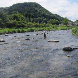 狩野川(狩野川漁業協同組合) 釣果
