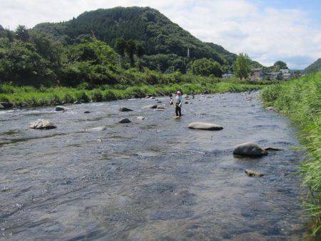 狩野川(狩野川漁業協同組合) 釣果