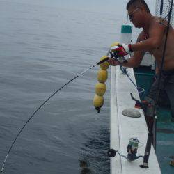 清和丸 釣果