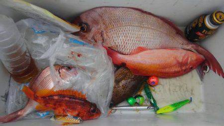 遊漁船 新鋭丸 釣果