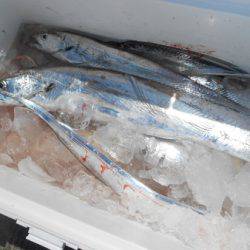 こうゆう丸 釣果