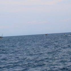 へいみつ丸 釣果