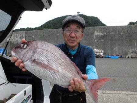 大進丸（新潟） 釣果