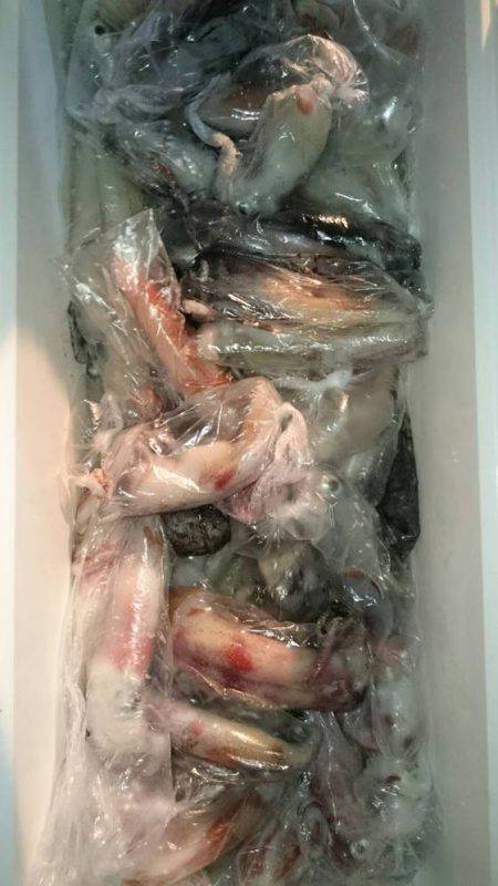 寿裕 （YOSHIHIRO） 釣果