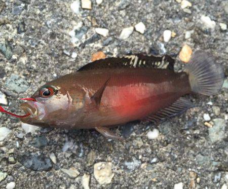 家族が寝ているうちに