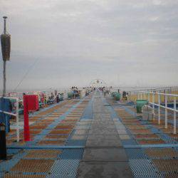 オリジナルメーカー海づり公園(市原市海づり施設) 釣果