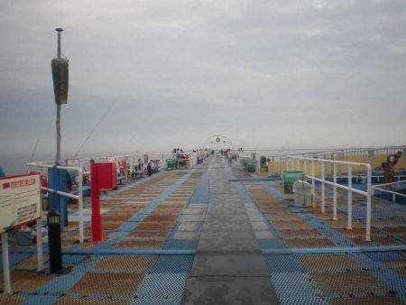 オリジナルメーカー海づり公園(市原市海づり施設) 釣果