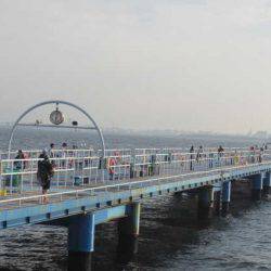 オリジナルメーカー海づり公園(市原市海づり施設) 釣果