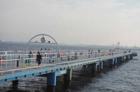 オリジナルメーカー海づり公園(市原市海づり施設) 釣果