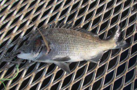 オリジナルメーカー海づり公園(市原市海づり…