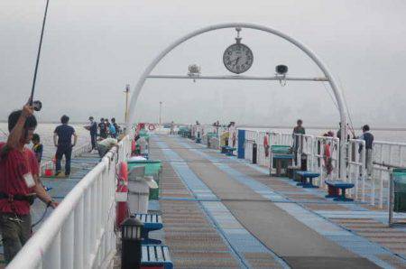 オリジナルメーカー海づり公園(市原市海づり施設) 釣果