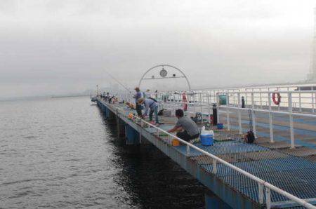 オリジナルメーカー海づり公園(市原市海づり施設) 釣果