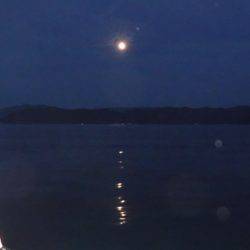 BlueNote Fishing Taxi 釣果