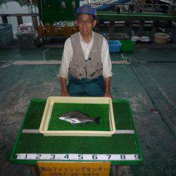 海山フィッシングセンター 釣果