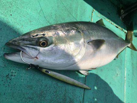 広進丸 釣果