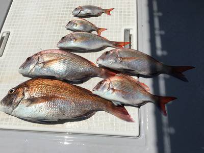 ミタチ丸 釣果