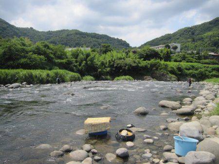 狩野川(狩野川漁業協同組合) 釣果