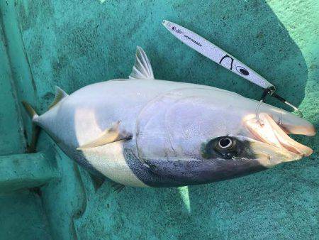 広進丸 釣果
