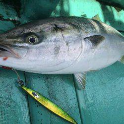 広進丸 釣果