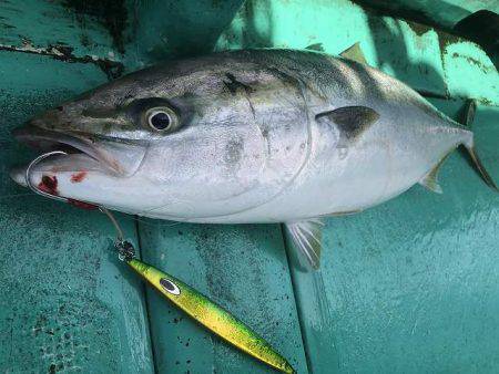 広進丸 釣果