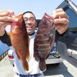 大進丸(新潟) 釣果