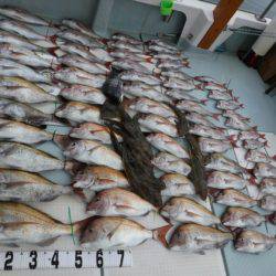 遊漁船 幸友丸 釣果