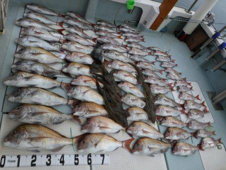 遊漁船 幸友丸 釣果