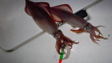 ＢｌｕｅＮｏｔｅ　Ｆｉｓｈｉｎｇ　Ｔａｘｉ…