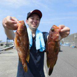 大進丸(新潟) 釣果