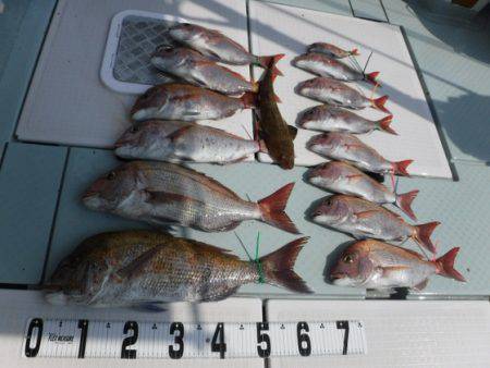 遊漁船 幸友丸 釣果