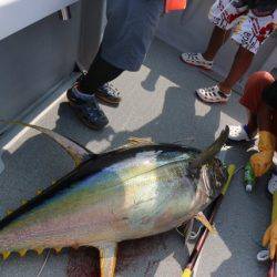 へいみつ丸 釣果
