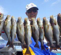 石川丸 釣果